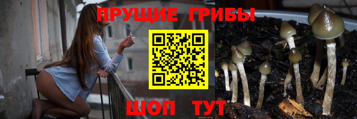 Галлюциногенные грибы ЛСД  Вход с VPN  Железногорск 